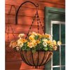 hanging-basket-275069x.jpg