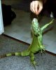 iguana2ptas.jpg