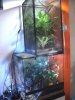 conjunto_terrario_flexarium.jpg