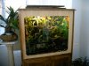 terrario 001.jpg