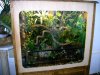 terrario 002.jpg