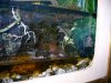 terrario 004.jpg