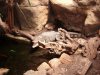 ZOO BCN 088.jpg