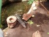 ZOO BCN 092.jpg