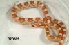 GoldDust Corn Snake   070625f.jpg