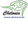 chelonia_logo_web.jpg