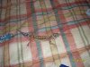 gecko 005.jpg