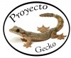 proyecto gecko.jpg