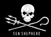 sea-shepherd.jpg