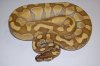 enchi butter 27-7-2010..JPG