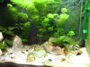 acuario mayo 011 [800x600].JPG