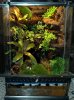 terrario1.jpg