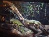 iguanas3.JPG