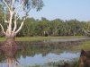 kakadu3.JPG