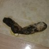 excremento B.jpg