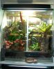 terrario.jpg