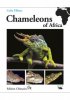 tilbury_chameleons_of_africa_web.jpg