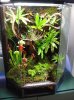 vivario tintorius.JPG1.JPG4.JPG