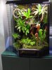 vivario tintorius.JPG1.JPG6.JPG