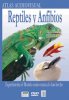 REPTILES-Y-ANFIBIOSB.jpg