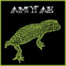 Amyae