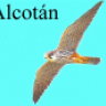 ALCOTAN VALENCIA