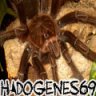 hadogenes69