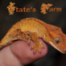 StatesFarm