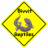 bivvit-reptiles.com