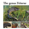The genus Triturus