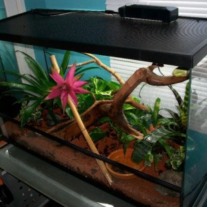 149876 140679225984808 100001281942295 223432 4491958 n