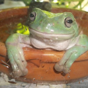 Mike tomando un baño