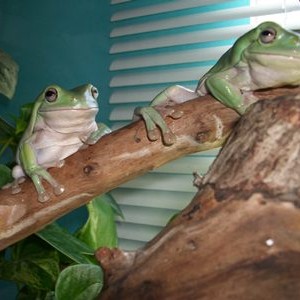 Un saludo a los del foro!