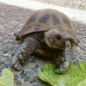 Identicadme porfavor