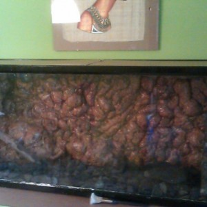 C360 2011 08 28 18 15 02