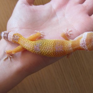 19 09 11 Cria 5 Mafalda 017