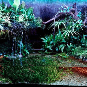 2922485468 97acca31ca z