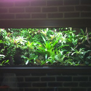 Vivario vista frontal