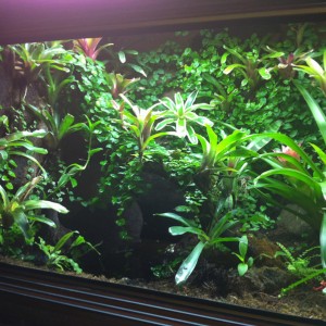 Vivario vista izquierda