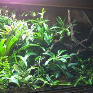 Vivario vista derecha