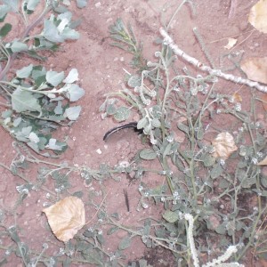 Construcción instalaciones exteriores