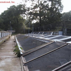 Terrarios exteriores