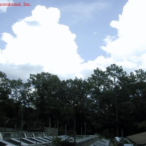 Terrarios exteriores