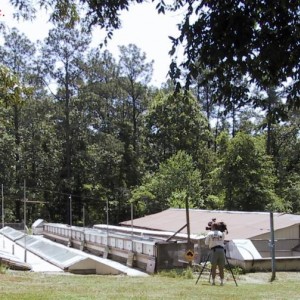 Terrarios exteriores