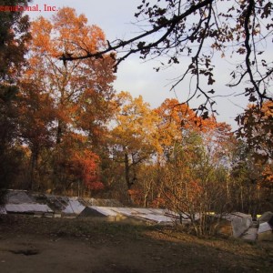 Tiempo Agama International