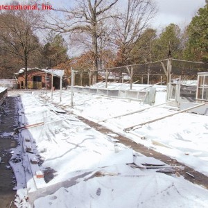 Terrarios cubiertos en invierno