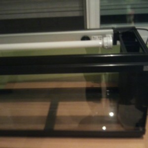 Mira este es el acuario