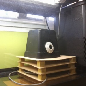 Comentarme aver el tiesto con las bandejas.. tapo el cable? tengo que limpiar la madera, ponerle  barniz..tiene cola termita en los tacos es perjudicial? Ayuda plis