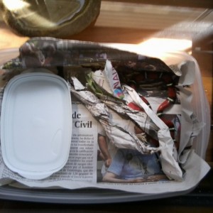 Mi Lampro recien llegada