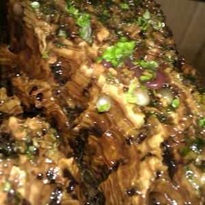 Cynops ensicauda popei - Huevo